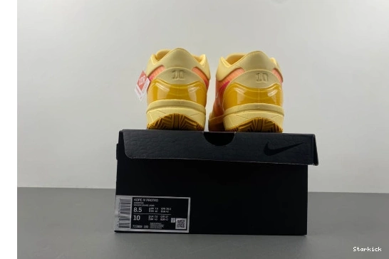 Protro 723908-180  Kobe Nike 4 0826